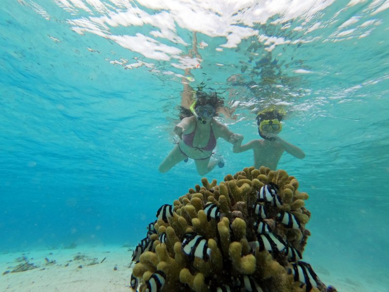 Maldivi, pod vodom ribice